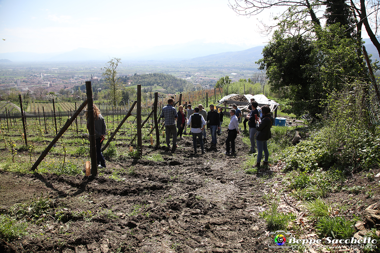 VBS_7433 - PressTour educational dedicato ai vini del Pinerolese e all’olio prodotto sulla collina di Pinerolo.jpg